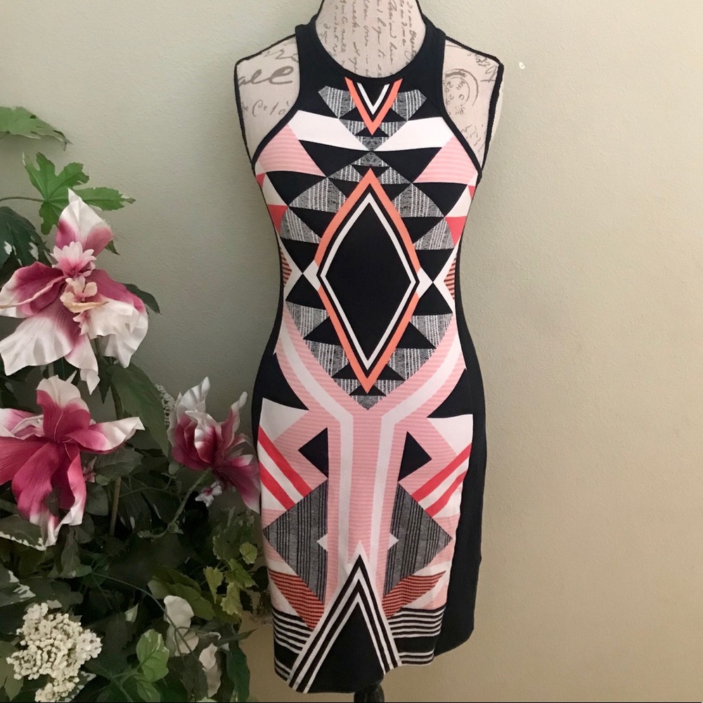 Express ✨Form Fitting Dress